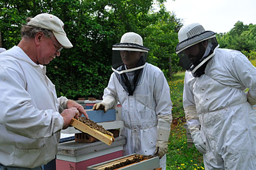 Do Women Make Better Beekeepers? – Savannah Bee Company