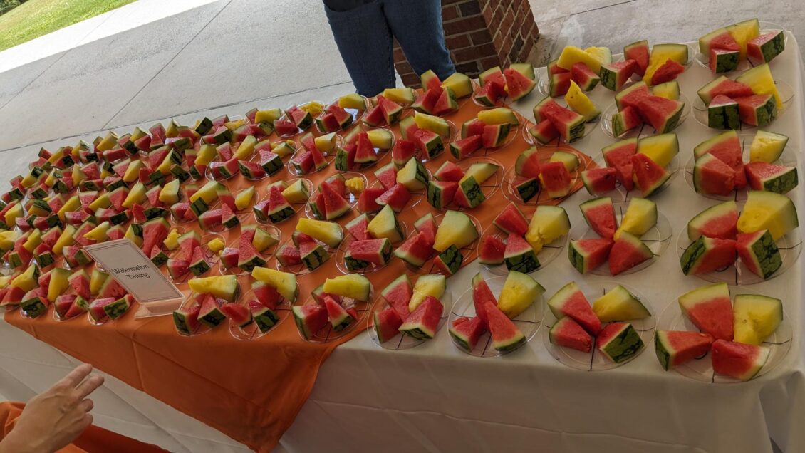 Watermelon slices arrayed on a table.