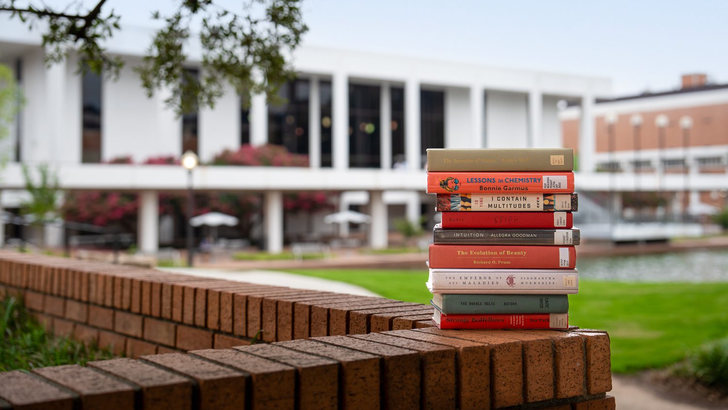 a stack of nine library books on a brick wall with an out of focus Cooper Library in the background