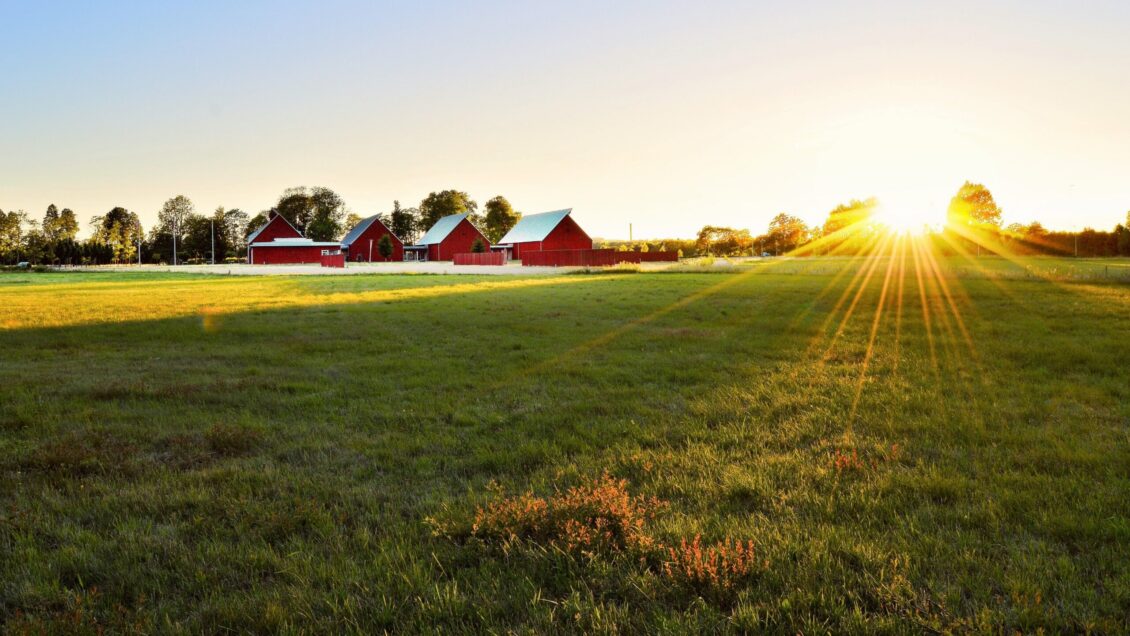 sun rising over a field with a barn in the distance - CAFLS, PSA