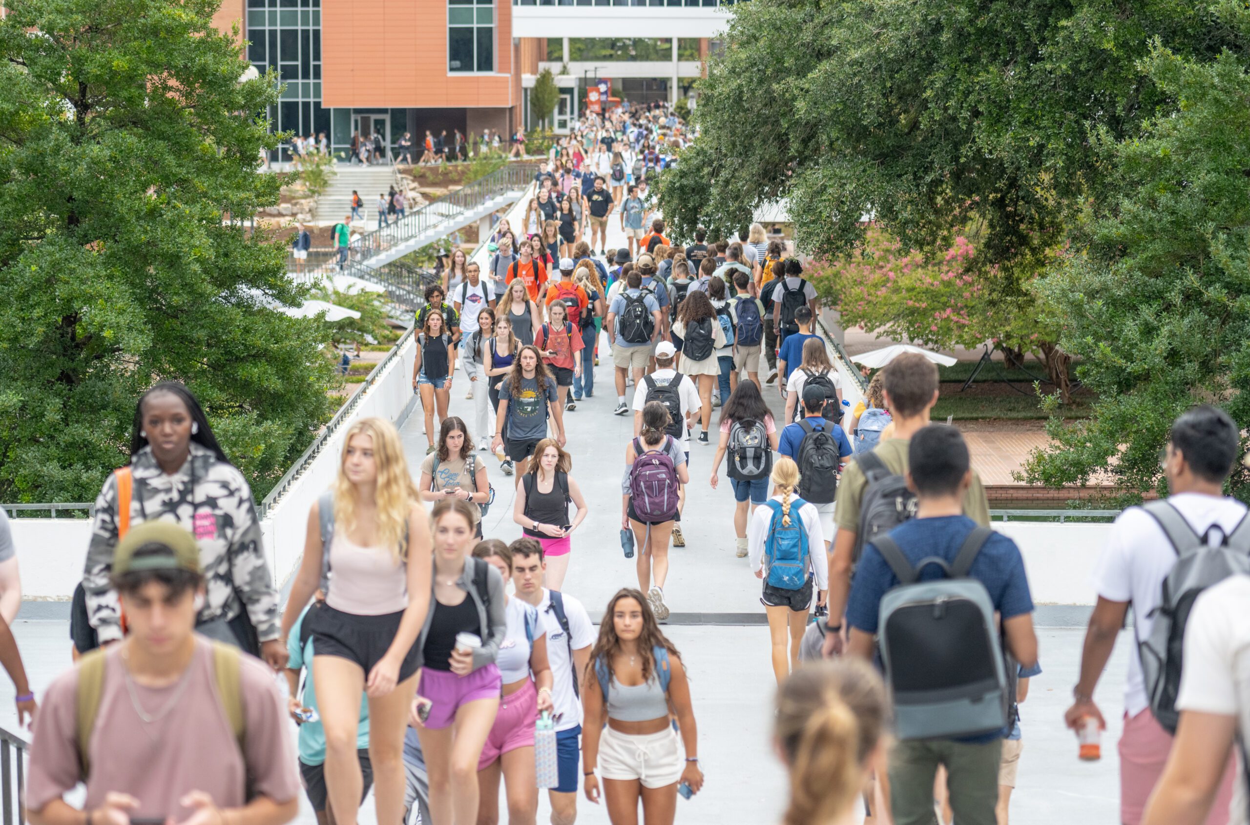A large of students walking across Clemson's main campus