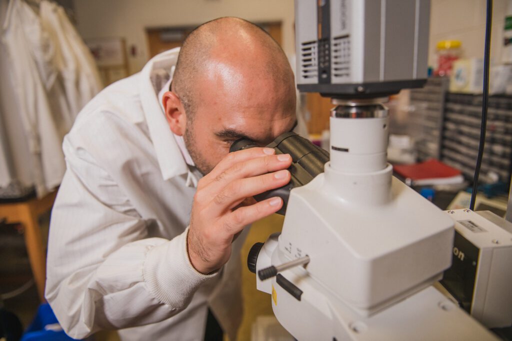A bald man wearing a white lab coat peers into a white microscope. 