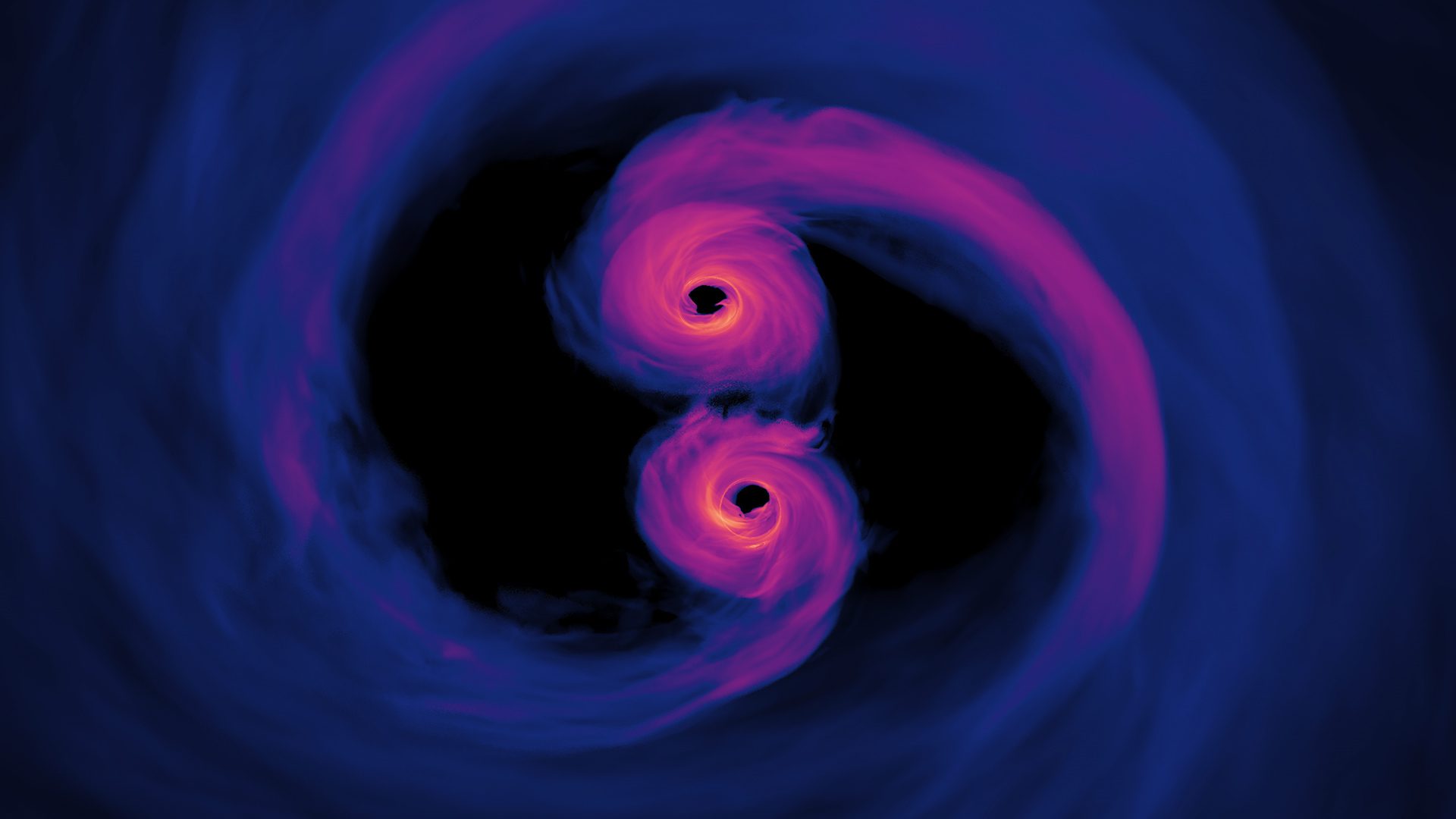 A simulation of two black holes merging