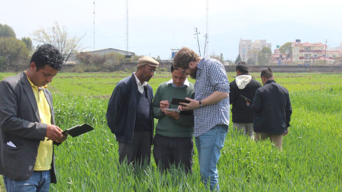 Clemson researcher Trevor Rife trains Nepal Farmers on how to use the PhenoApp to record field observations needed for phenotypic data.