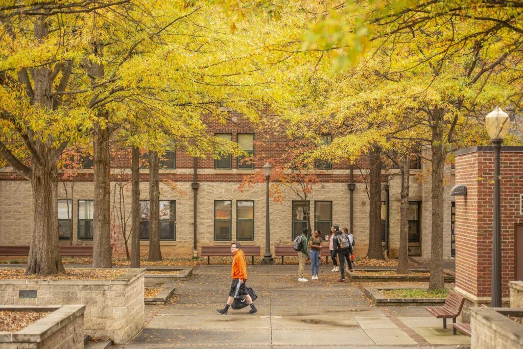 A group of students talk in a courtyard underneath green and orange foliage. A student in an orange hoodie walks in front of them
