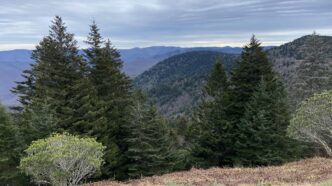 Leaf color changes are expected to peak in early-to-mid October in North Carolina and in early November in South Carolina.