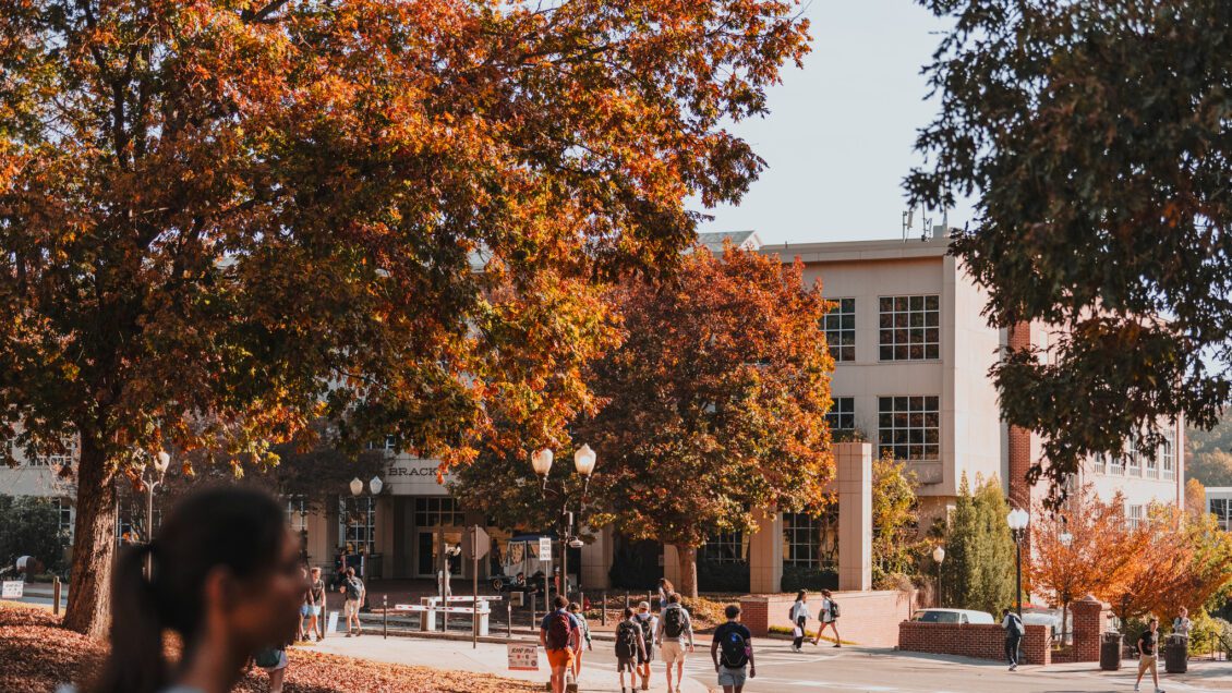 Students walking around campus in the fall. A towering oak with lots of fall leaves stands above students at a crosswalk.