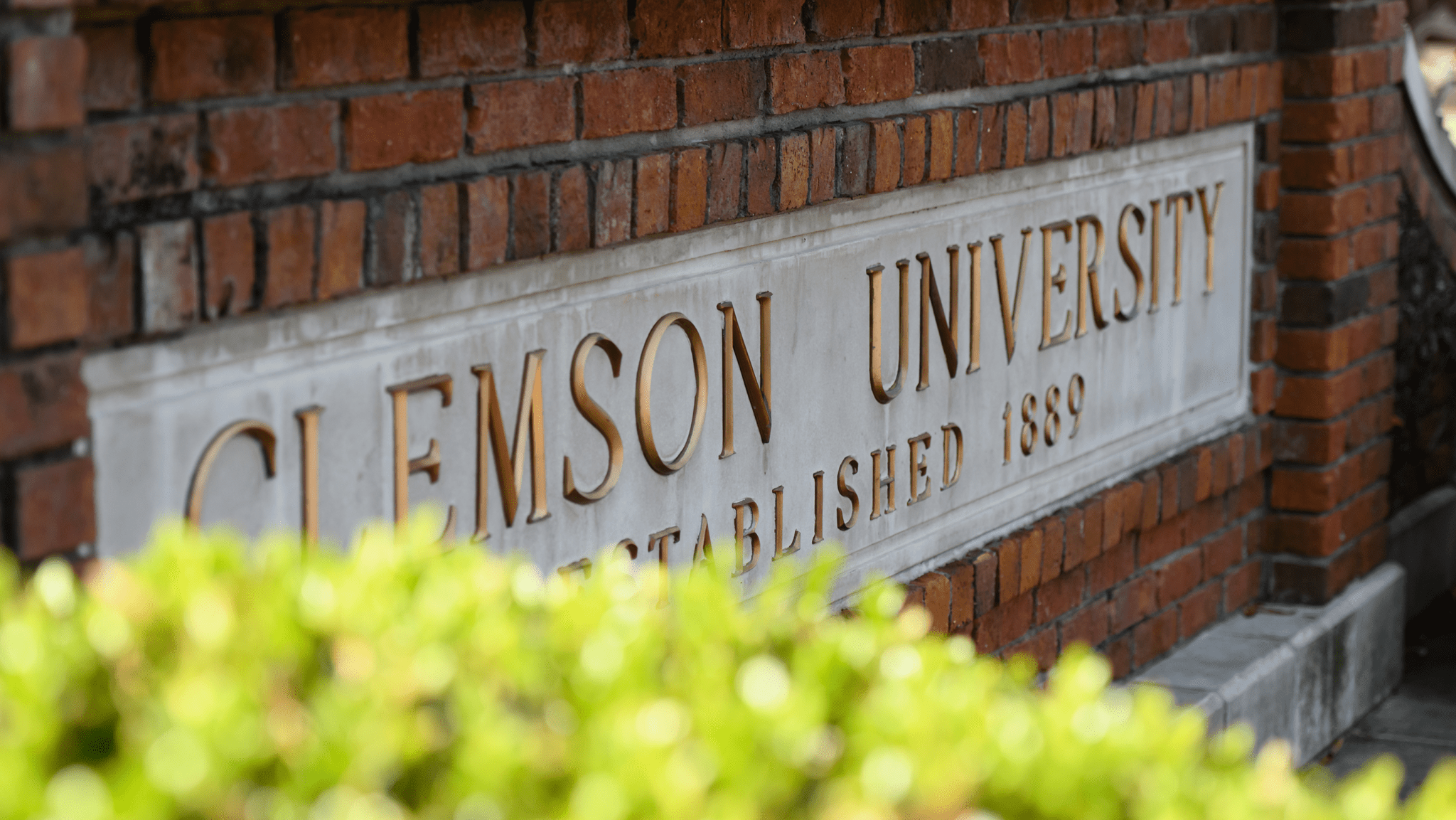 Preparing Clemson for streamlined finance and HR processes | Clemson News