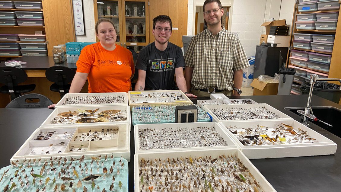 Patricia Wooden, Niko Artley, Michael Ferro and other members of the Clemson University Entomology Club put together miniature museums of insects native to South Carolina to teach public school students the importance of protect ing insects.