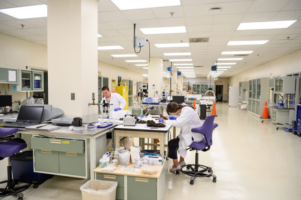 A long white room with lab tables illuminated by florescent lights with a female student wearing a lab coat seated and bent over a table while a male student in a lab coat walks in the background. 
