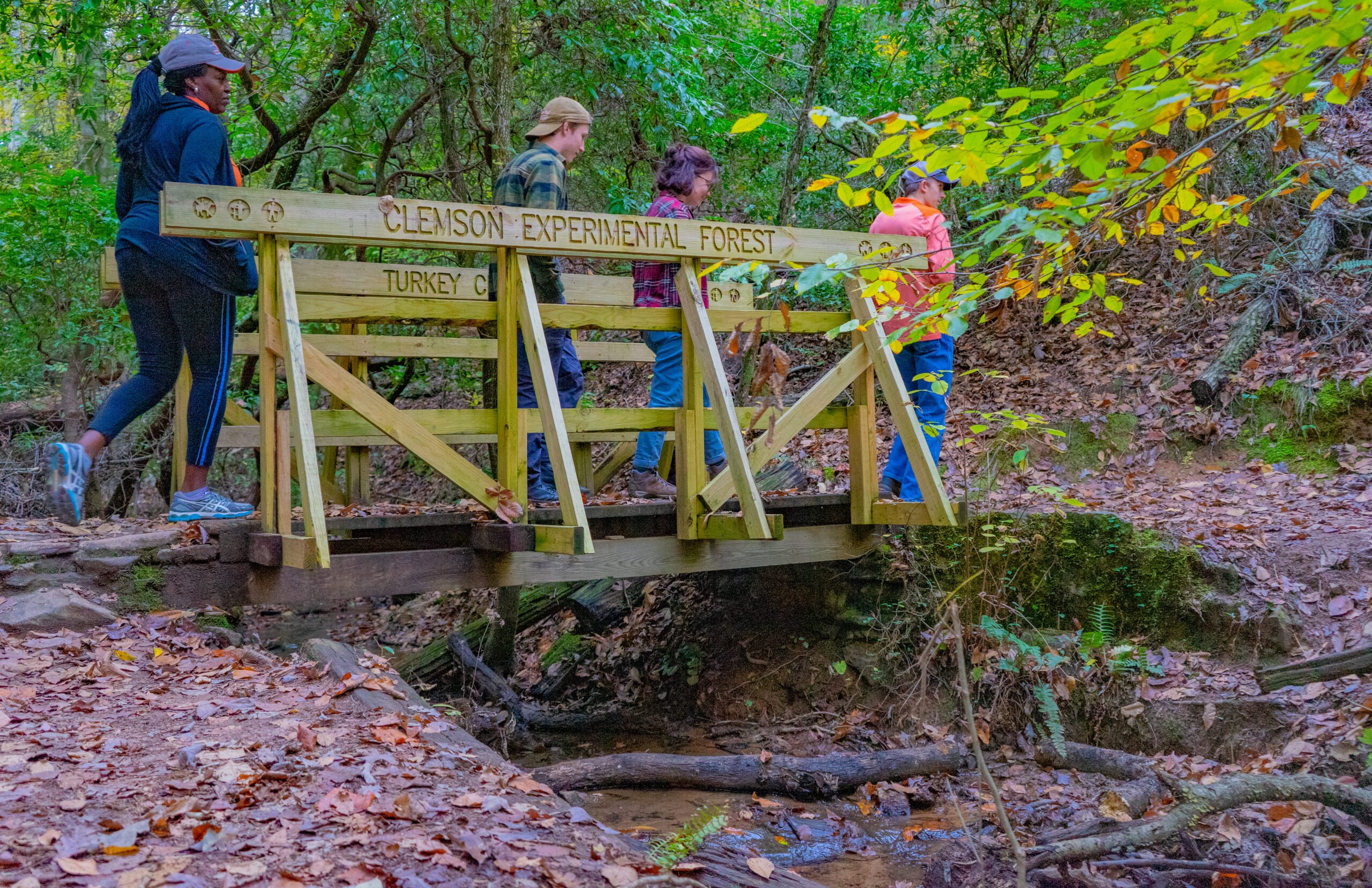 Three people crossing a creek on a wooden bridge on the Clemson Experimental Forest.