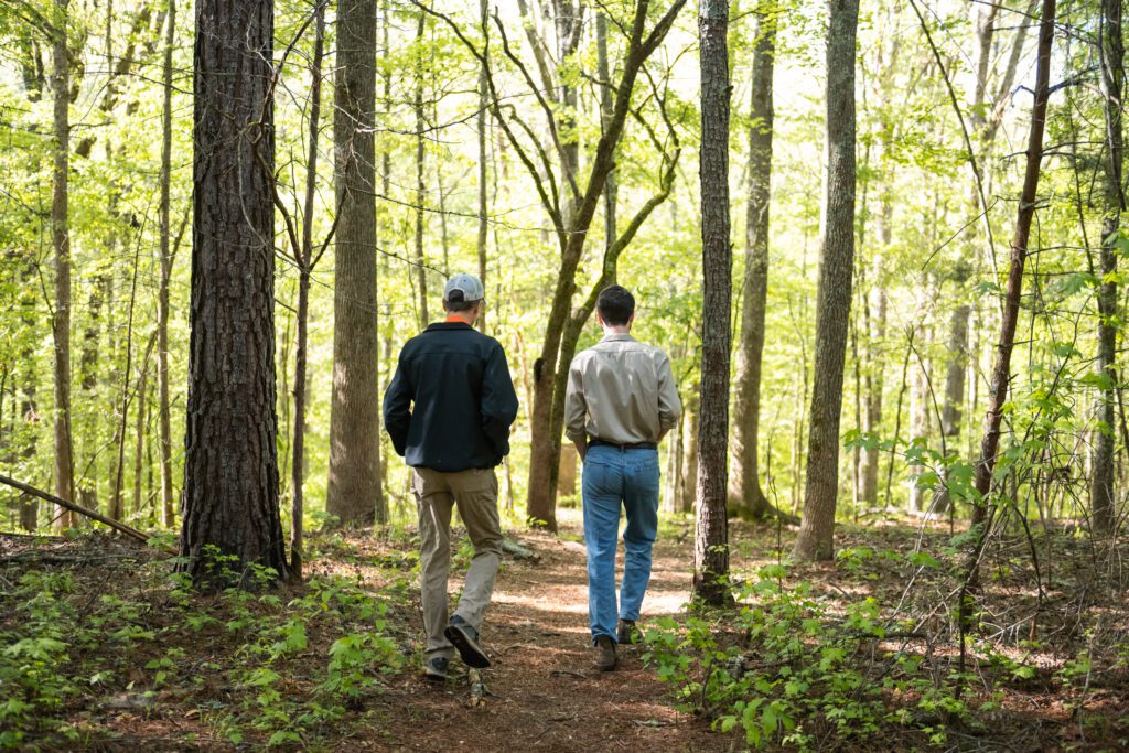 Two men wearing jackets are walking through the forest. Their backs are facing the camera.