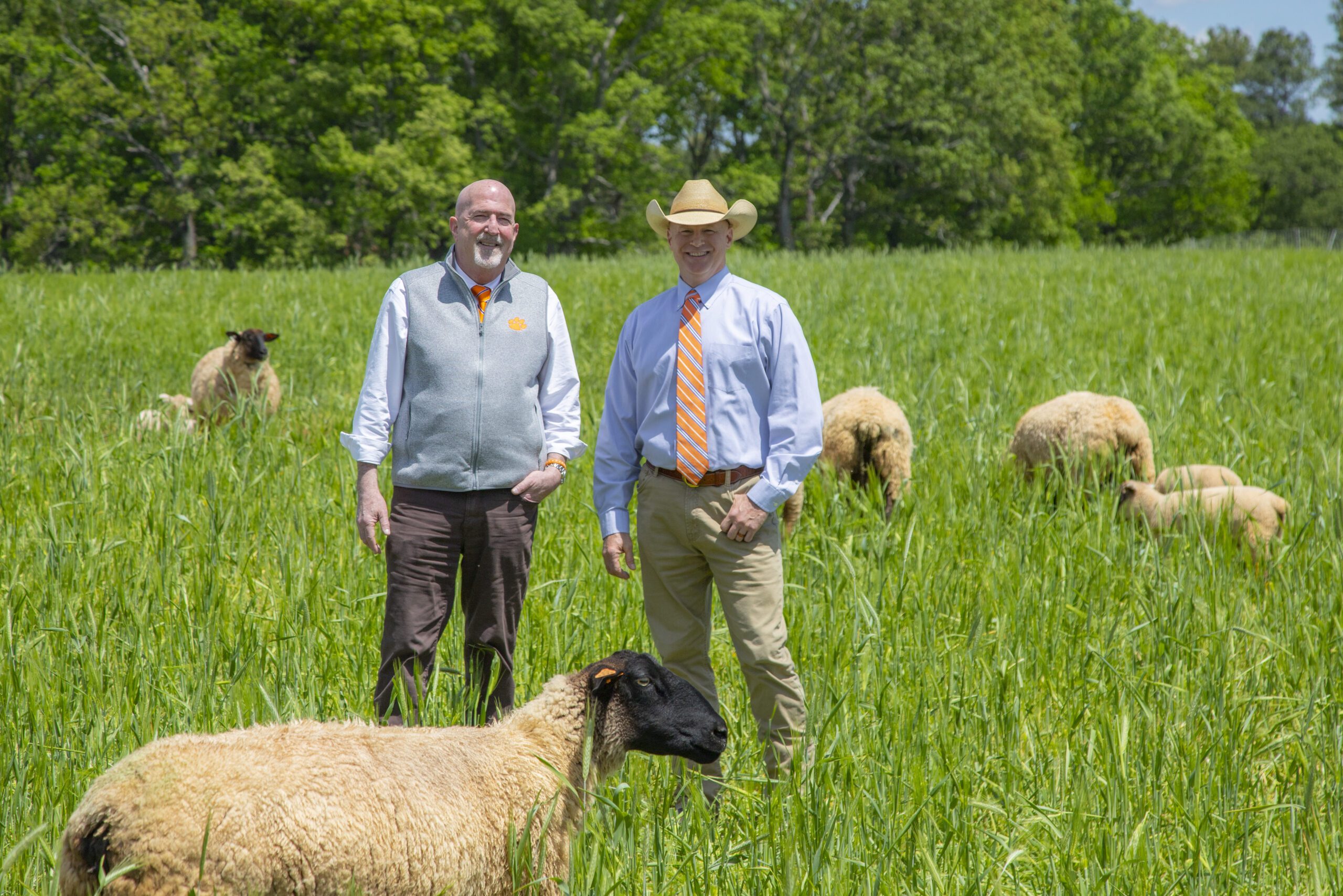 Dean Marks and Matt Hersom pose in a field of sheep.
