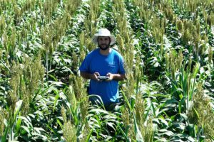 Alex Coleman, Clemson Extension Small Grains and Sorghum specialist, is studying a new technology that could help grain sorghum grow more profitably in South Carolina.