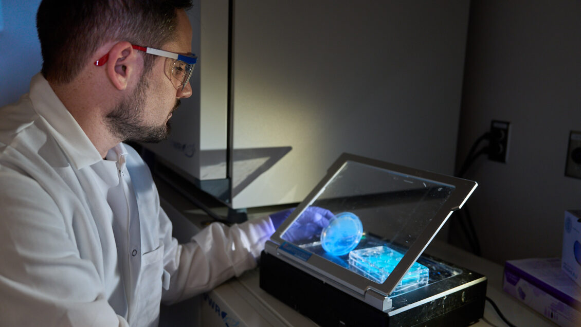 Man wearing a lab coat looks at some Petri dishes lit up by blue lights.