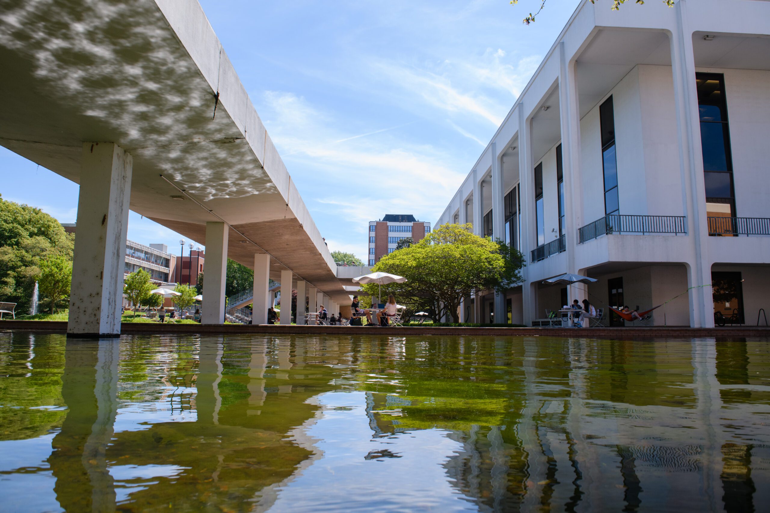 The Reflection Pond shimmers on the Cooper Library Bridge with students sitting at a table in the background.