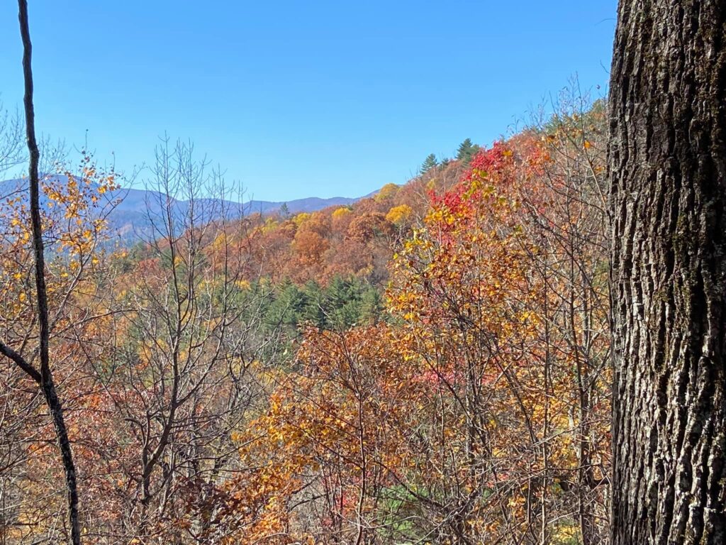 Leaf color changes are expected to peak in early-to-mid October in North Carolina and in early November in South Carolina.