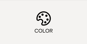 A palette icon with the word "COLOR" underneath.