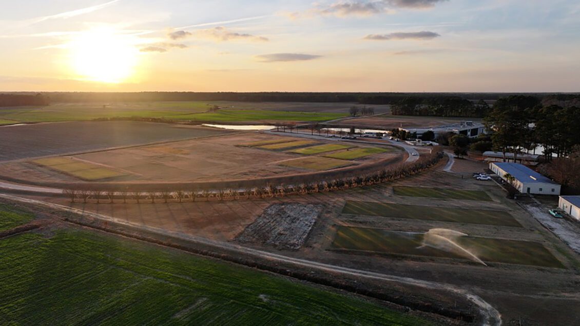 Aerial view of the turfgrass fields at the Clemson University Pee Dee Research and Education Center in Florence, South Carolina.