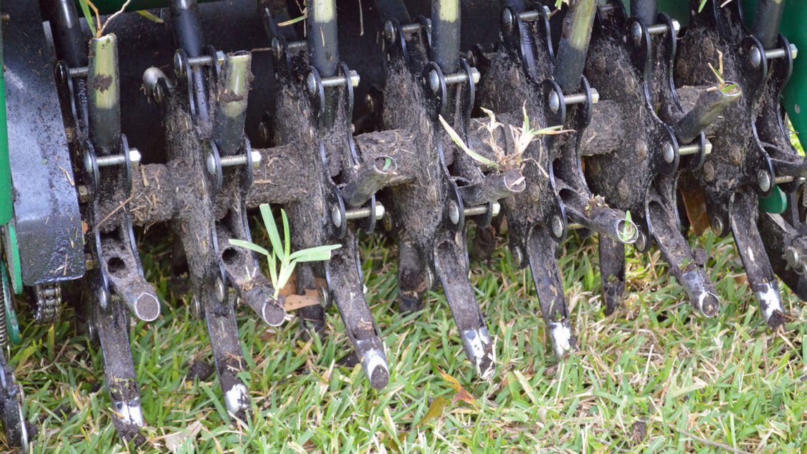 Core aeration uses a tool to take out small plugs of soil so that air and water can reach plants' roots.