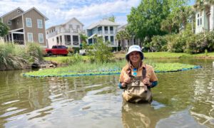 Clemson doctoral student bridges water quality with aesthetics for floating wetlands – Clemson News