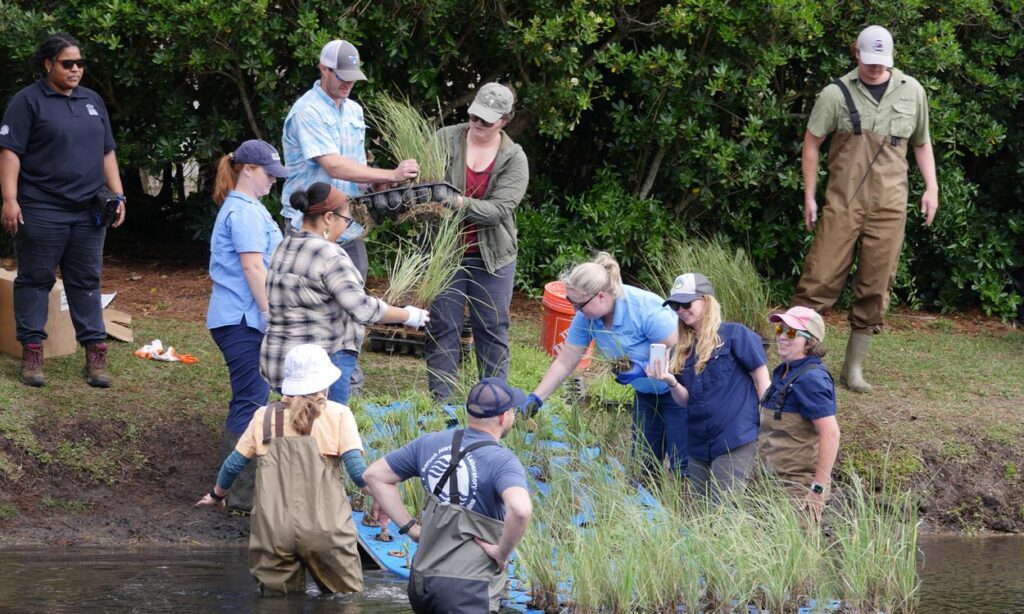 Male and female workers in water protective gear move plants around a water feature.