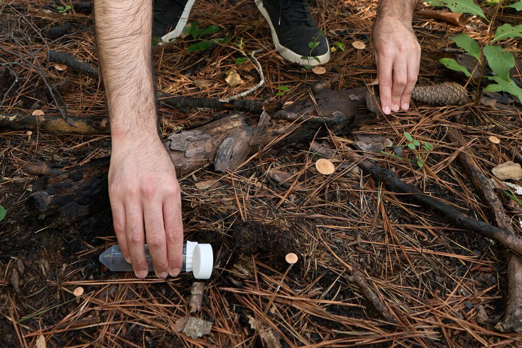 A hand holding a test tube collects soil from a forest floor in the Clemson Experimental Forest.