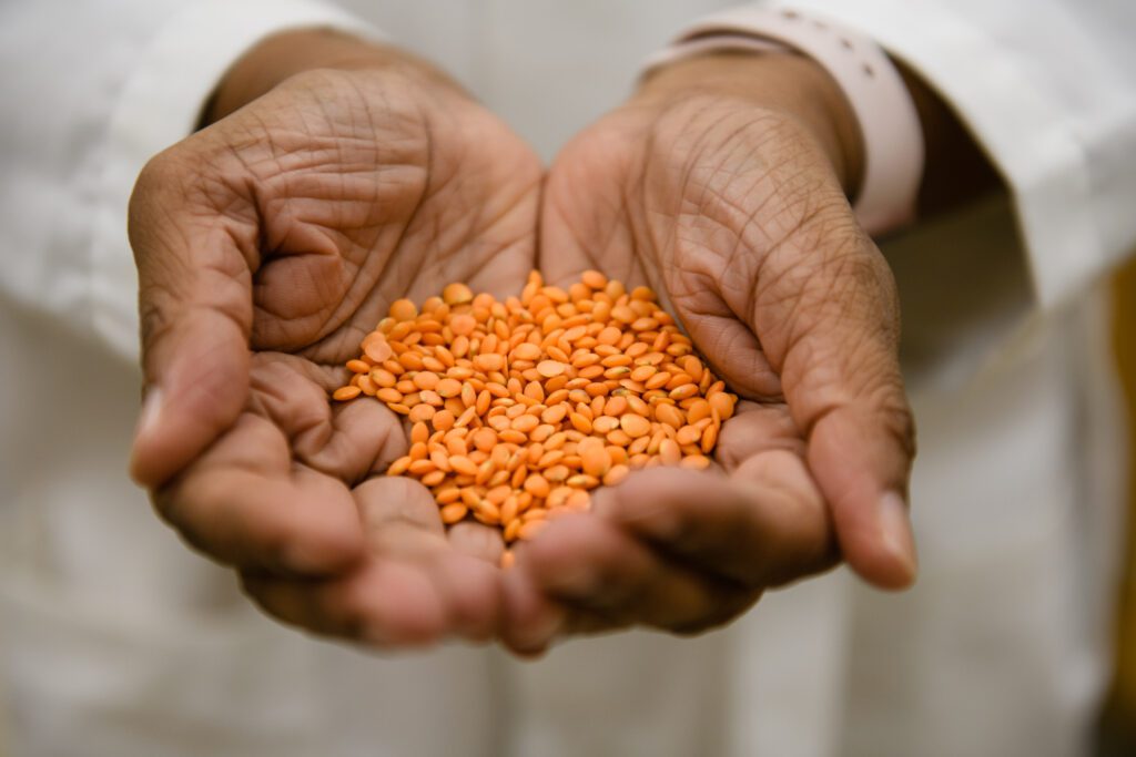 A set of open hands is cupped and is showing the camera small red lentils.