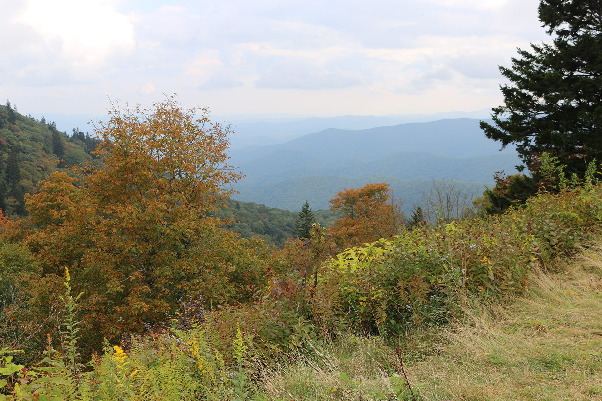 Leaf color changes in the southern Appalachian Mountains will vary by elevation. Higher elevations are expected to peak in early October.