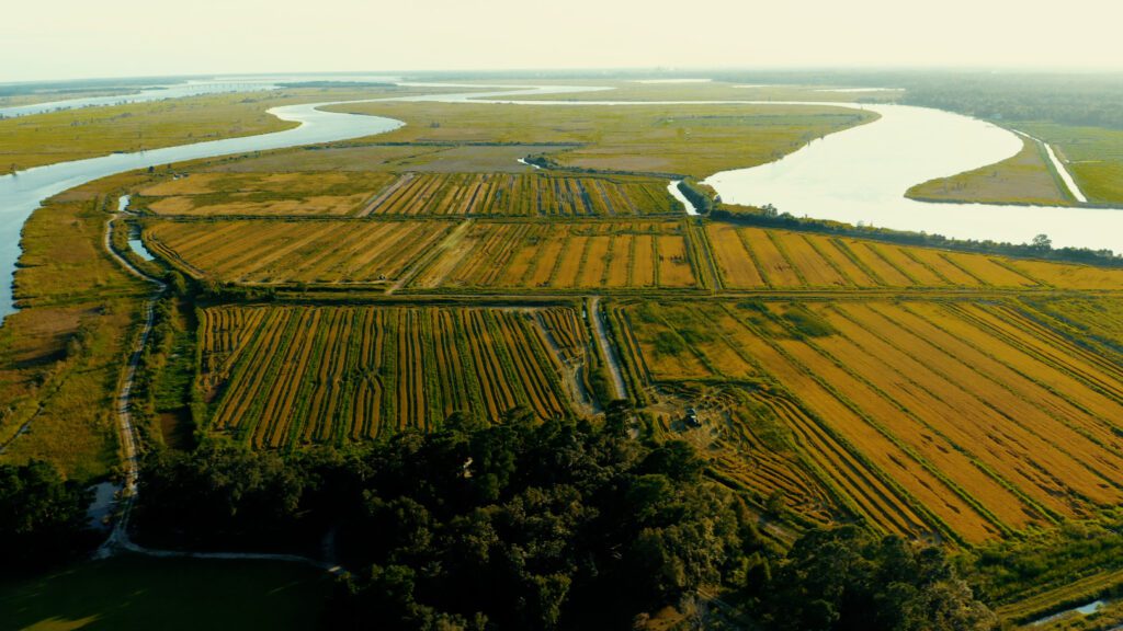 From the rice fields of the Lowcountry to the irrigation systems supporting farms in the Midlands, water is vital to South Carolina's agriculture. (Photo courtesy of Paul Quattlebaum, White House Farms)