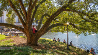 Students enjoy blue skies in front of the reflection pond on Clemson's main campus
