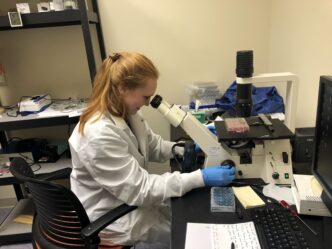 A young woman wearing a lab coat is looking through the lens of a microscope, seated in a lab.