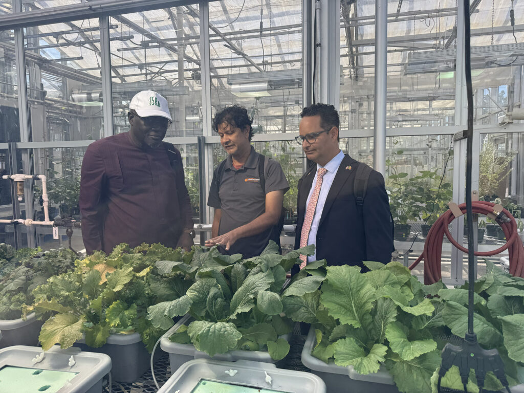 Jagger Harvey, director of Clemson's Global Research Initiative, and Aliou Faye, ISRA technical and scientific advisor, meet with Clemson University scientist Raghupathy Karthikeyan in the Clemson greenhouses to talk about his esearch program to enhance sustainable crop production.