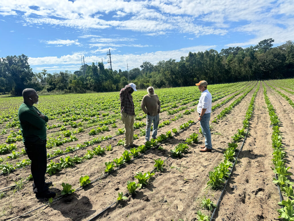 Jagger Harvey, Clemson director of Global Research Initiatives, and Aliou Faye, ISRA technical and scientific advisor, meet with farmers in the Gullah Farmers Cooperative Association to discuss how the Clemson-ISRA colaboration will benefit farmers in South Carolina and Africa.