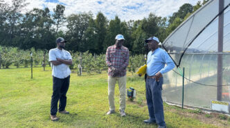 Aliou Faye, ISRA's head of partnershps, talks with Gullah farmers about how South Carolina and Senegal farmers will benefit from the Clemson-ISRA collaboration.