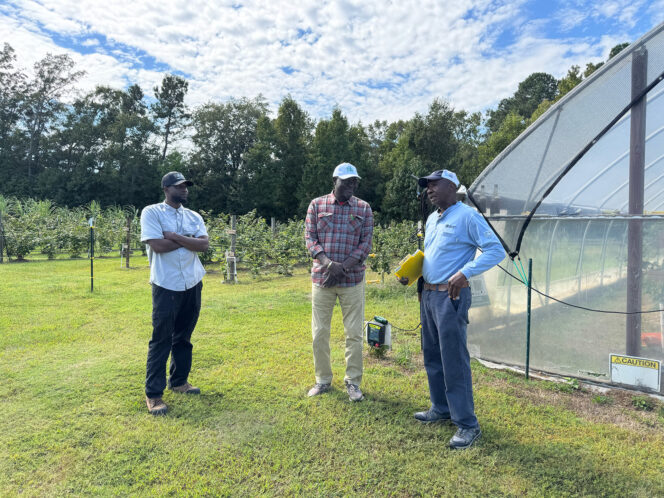 Aliou Faye, ISRA's head of partnershps, talks with Gullah farmers about how South Carolina and Senegal farmers will benefit from the Clemson-ISRA collaboration.