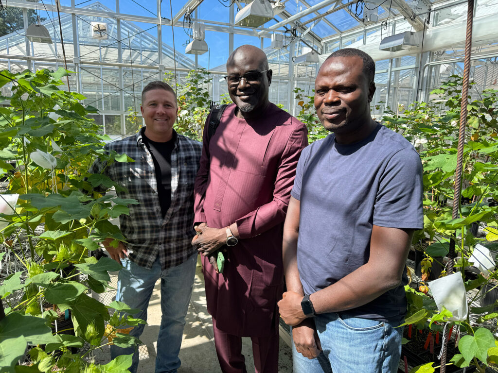Clemson scientists Christopher Sask (left) and Foster Kangben (right) talk with Aliou Faye about their cotton research.