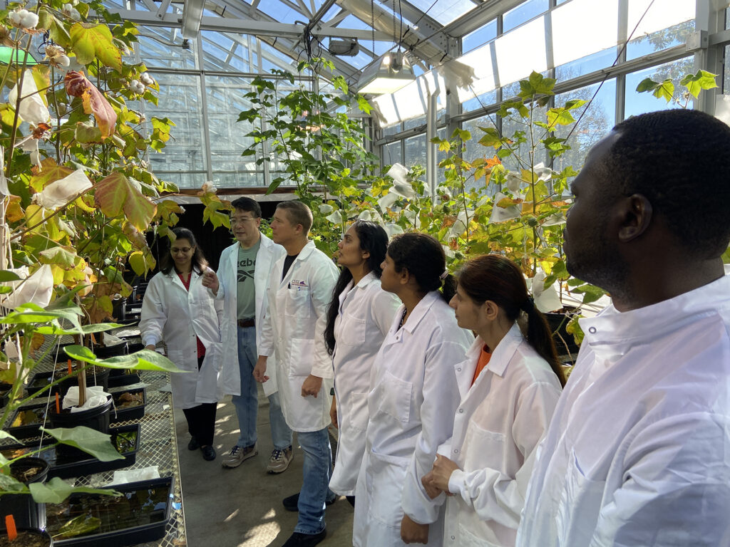 Zhigang Li explains how genetic engineering is used in this project to drive plant stem cells to form an embryo and regenerate a whole plant from a single cell.