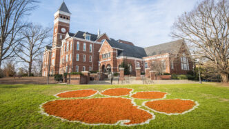 Tiger Paw painted on Bowman Field.