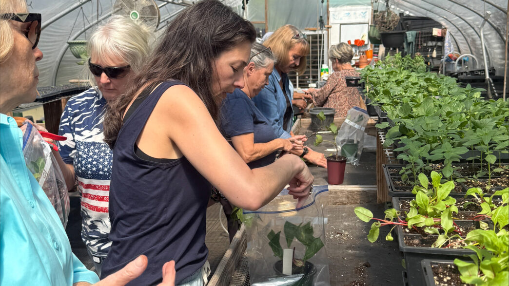 Clemson Extension is offering an online course to provide South Carolina gardeners with expert guidance on creating and maintaining beautiful, resilient outdoor spaces. (Photo by Carmen Ketron)