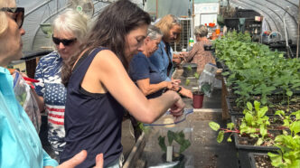 Clemson Extension is offering an online course to provide South Carolina gardeners with expert guidance on creating and maintaining beautiful, resilient outdoor spaces. (Photo by Carmen Ketron)