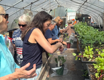 Clemson Extension is offering an online course to provide South Carolina gardeners with expert guidance on creating and maintaining beautiful, resilient outdoor spaces. (Photo by Carmen Ketron)