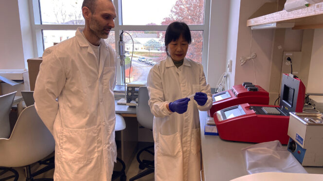 Clemson University scientists Alexis “Stocko” Stamatikos and Jing “Jennifer” Echesabal-Chen prepare to use a thermocycler, a machine that amplifies DNA, to confirm the genetic makeup of immune cells called macrophages.