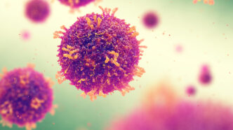 An image depicting measles