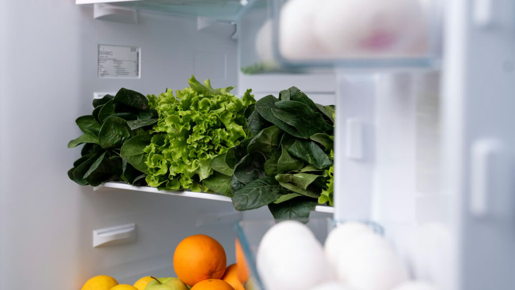 Interior or a refrigerator stocked with fruits and vegetables