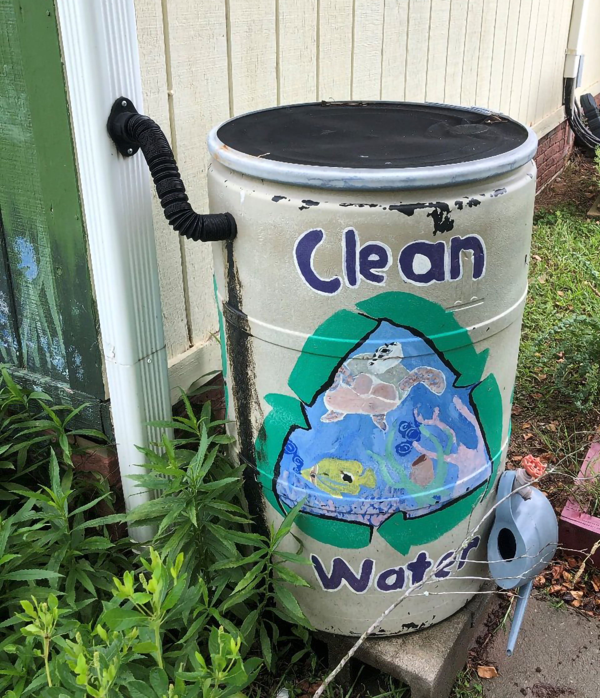 Clemson Extension workshop shows how to harvest rainwater, cut water ...
