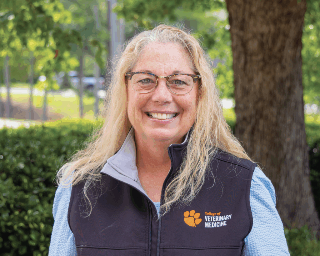 Meet the Team: Jill Linton