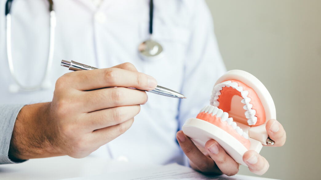 A person in a white lab coat holding a model of a mouth full of teeth.