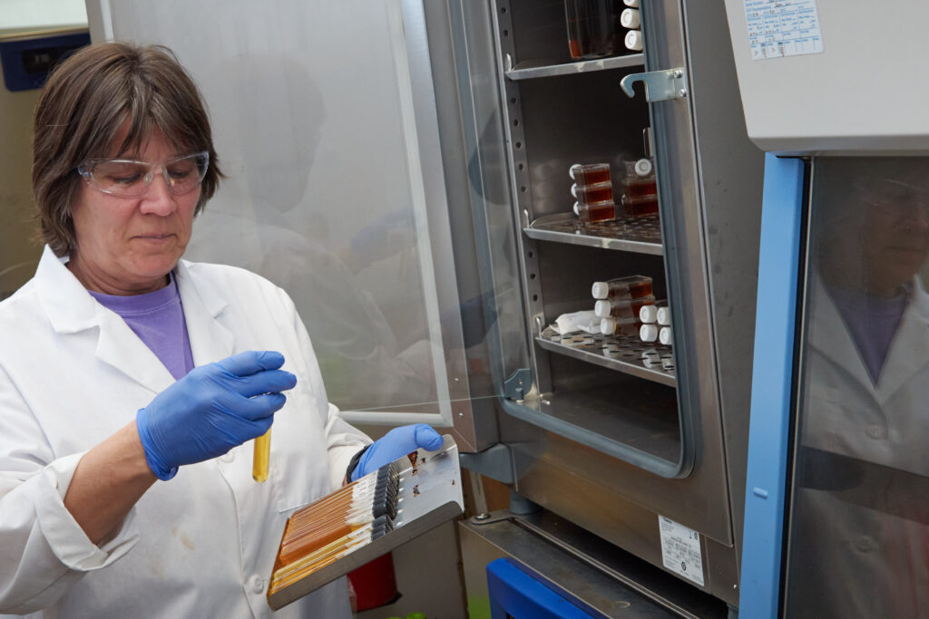 A woman wearing blue gloves and a lab coat looks at a container of test tubes in front of a metal storage container in a science lab.