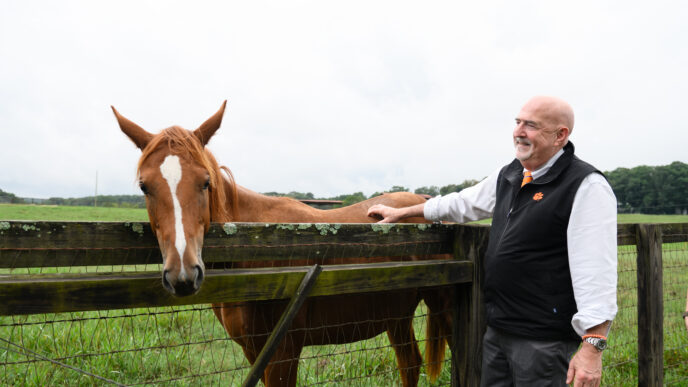 Steven Marks, founding dean of the Harvey S. Peeler Jr. College of Veterinary Medicine, pets a horse